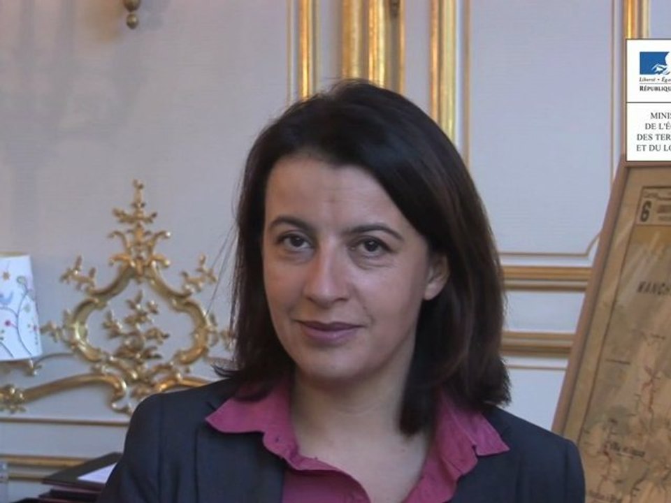 Message de Cécile Duflot diffusé lors des renco...