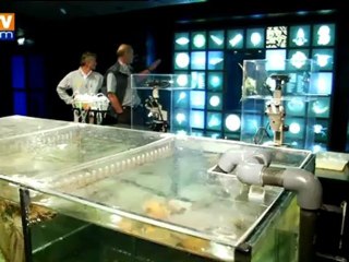 Vendée Globe : le labo flottant de Bernard Stamm