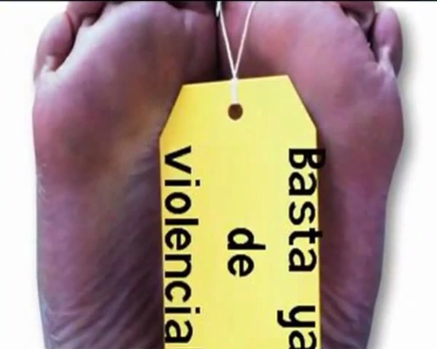 ¡Basta ya de violencia!