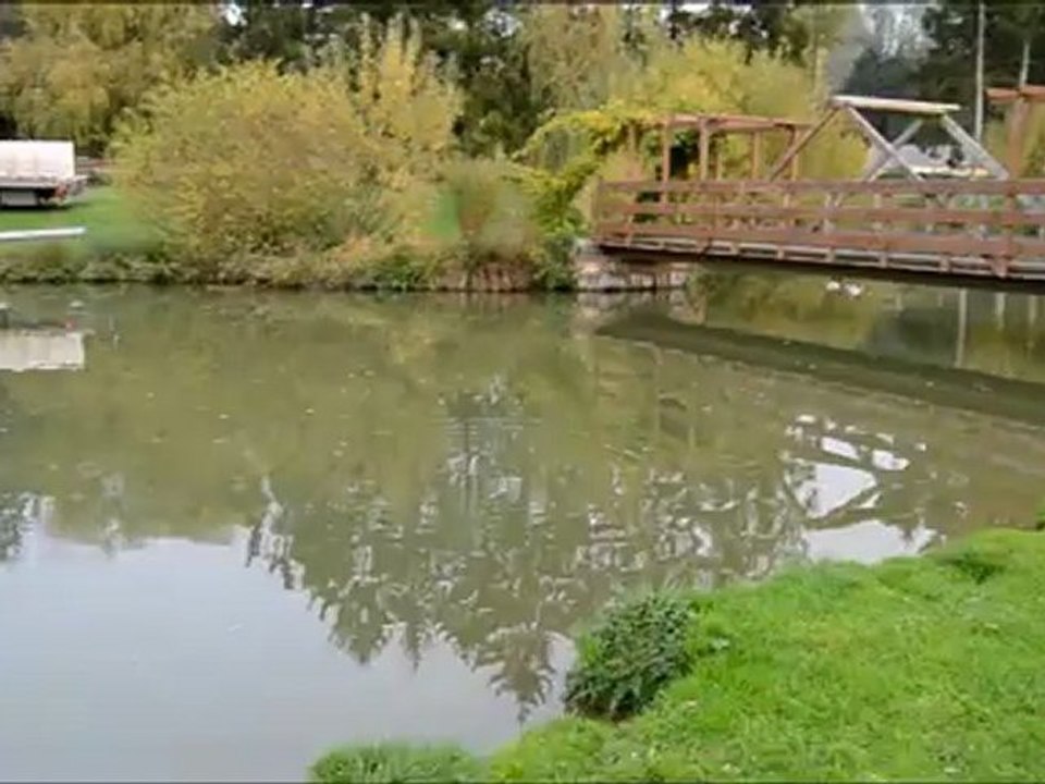 MALZY Rempoissonnement au Carpodrome d'une tonne de carpe supplémentaire le 9 novembre 2012