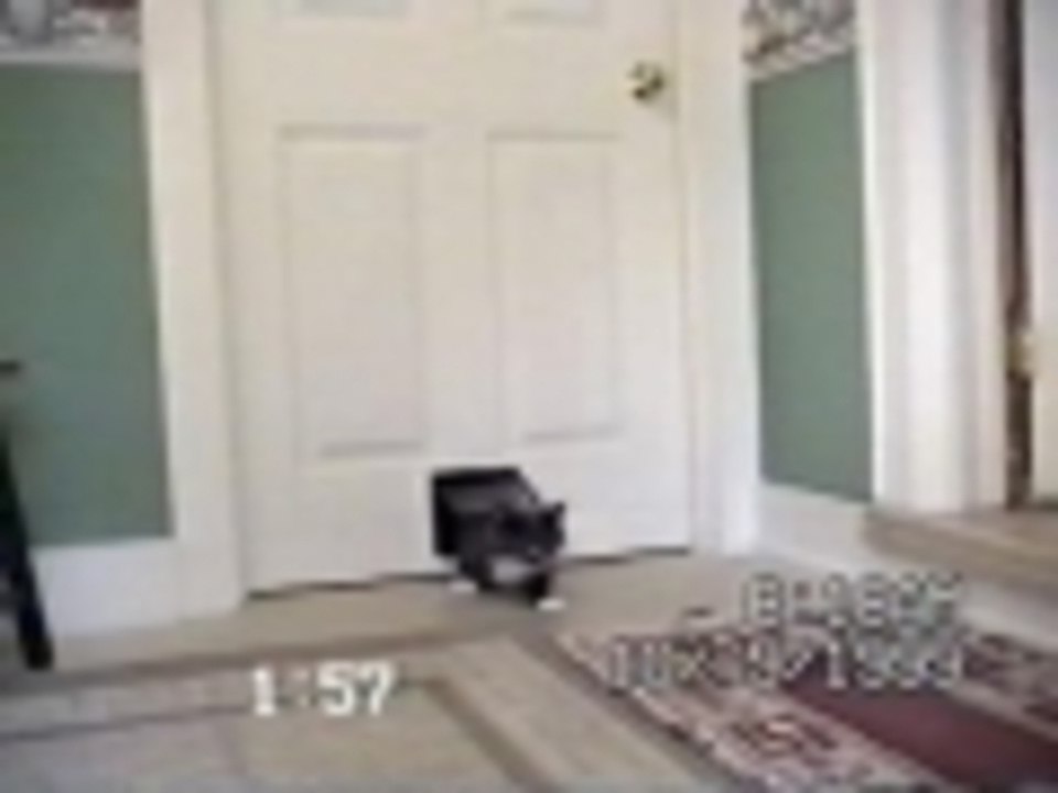 Deer Door