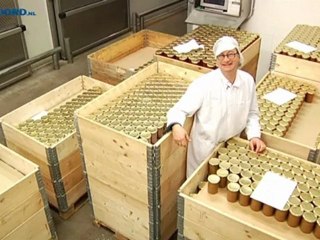 Boeren boos over extra heffing bij ganzenschade - RTV Noord