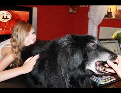 Concours Podium Agency, j'ai besoin de vous ! HELFER Laetitia