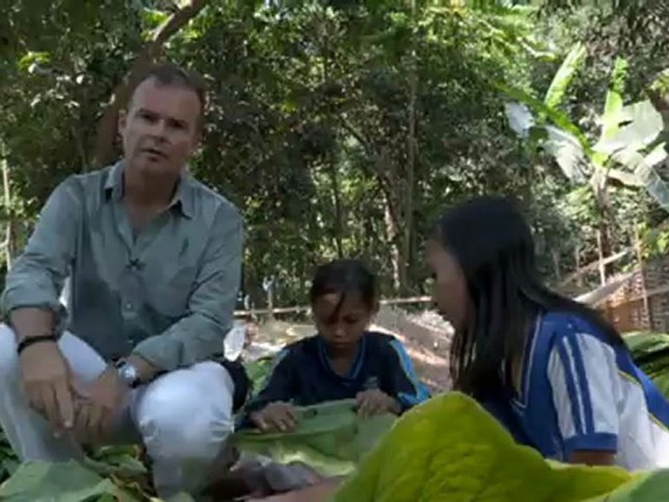 Unreported World: Indonesia's Tobacco Children