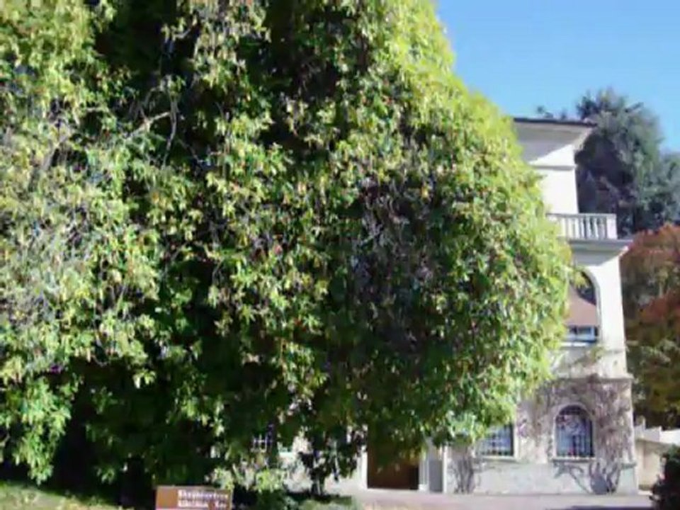 Dov'è il Paradiso?