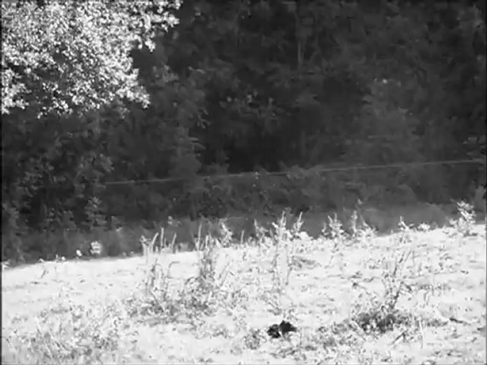 Un sport , une passion , des vies ...