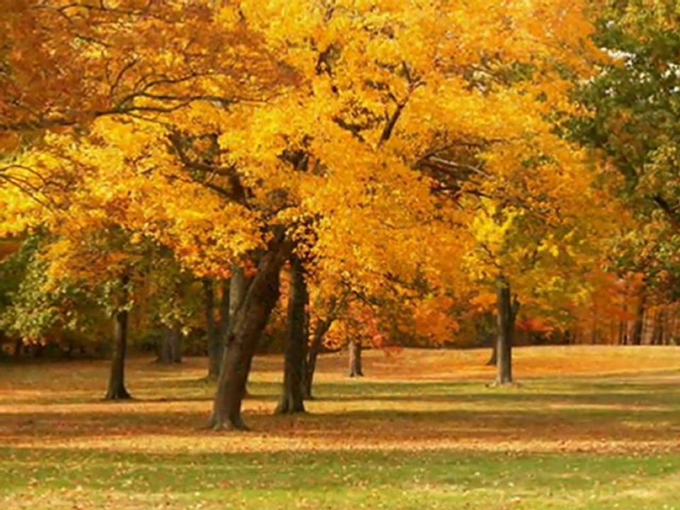 yusuf taşkın ağla sevdam