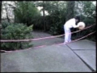 Dog plays volleyball