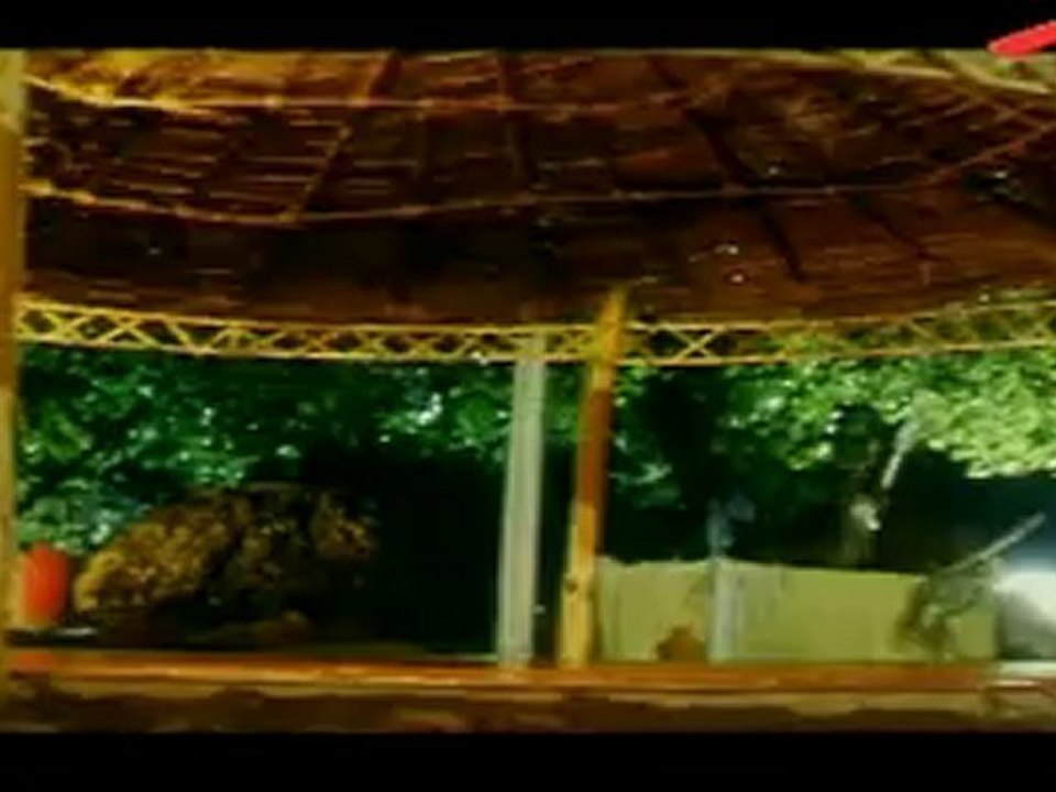 Rajasthan Songs - Maava Maava - Vijayashanthi - Sarath Kumar