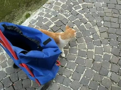 20120913 19:09 guinou