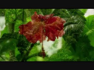 عبد الباسط عبد الصمد - أتحداك أن تسمع أو ترى أروع منه