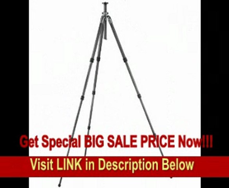 BEST BUY Gitzo GT2541L 6X Carbon Fiber 2 Series 4 Section G-Lock Mountaineer Long Tripod