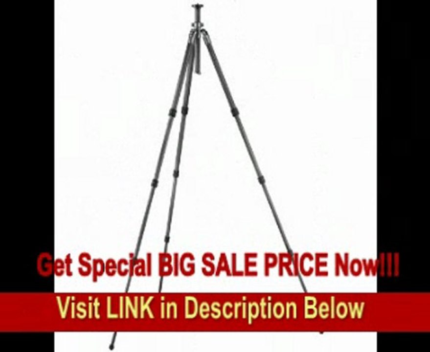 Gitzo GT2541L 6X Carbon Fiber 2 Series 4 Section G-Lock Mountaineer Long Tripod FOR SALE