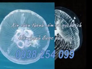 Cung cấp,bảng giá sàn gỗ tại quận 7 hcm call 0938 254 099