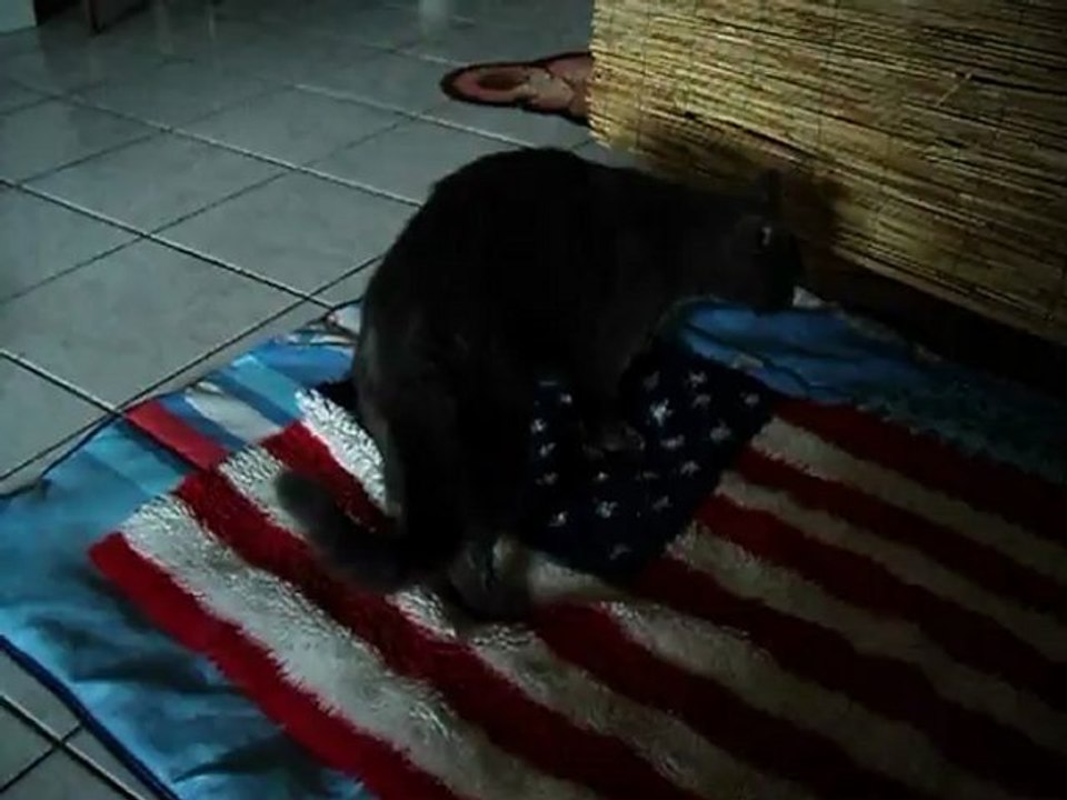 felina et dakota 013