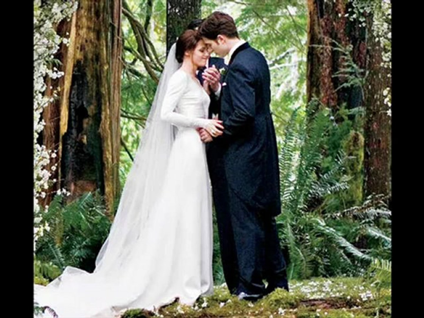 Flightless Bird American Mouth Twilight Saga Ost Breaking Dawn