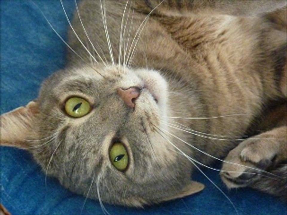 Des p'tits monstres ?