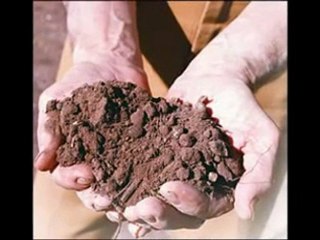 MELLE NURULLAH GEL YÖNEL MEVLAYA