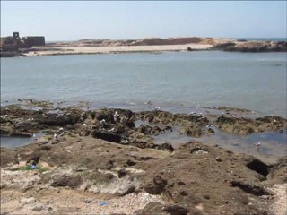 Mon film MARRAKECH septembre 2012 (15) - Bord de mer Essaouira