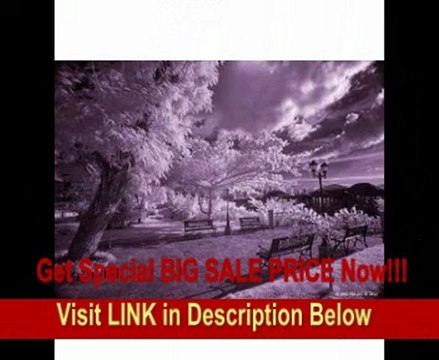 BEST PRICE Fujifilm IS Pro Body Only, 12.3 MP Digital SLR Camera with Nikon F Lens Mount, with Pro Body Kit