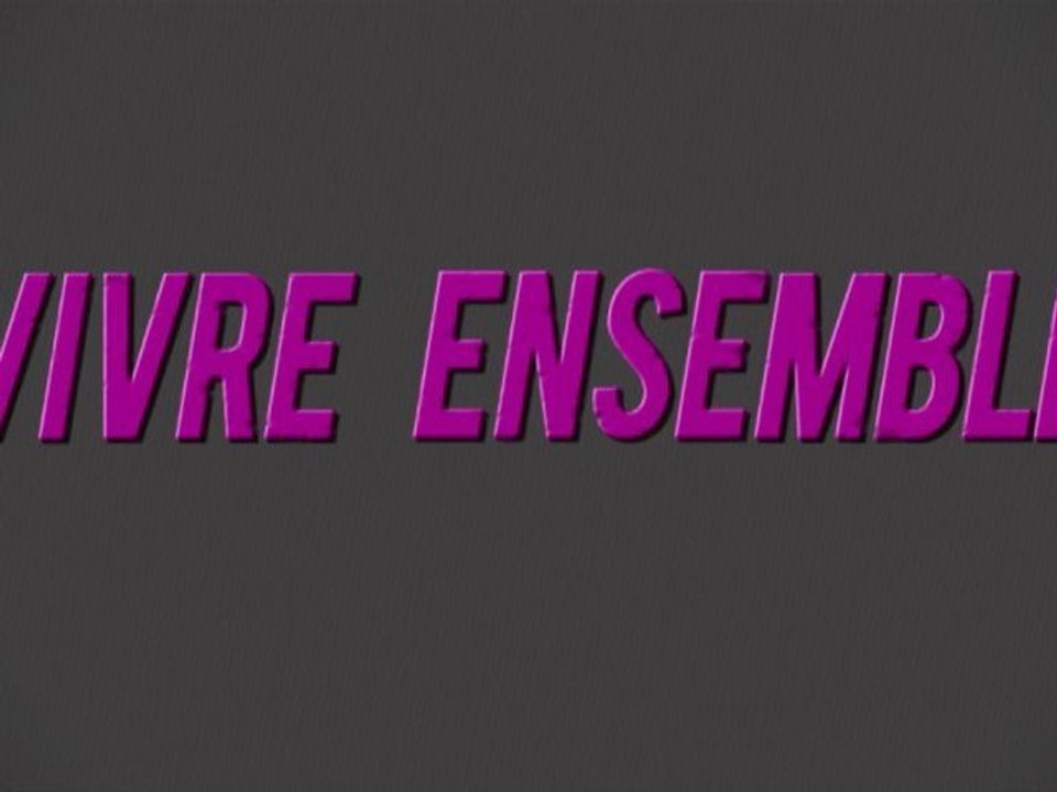 intervention de Daniel Boy - Vivre ensemble 2012 - cese