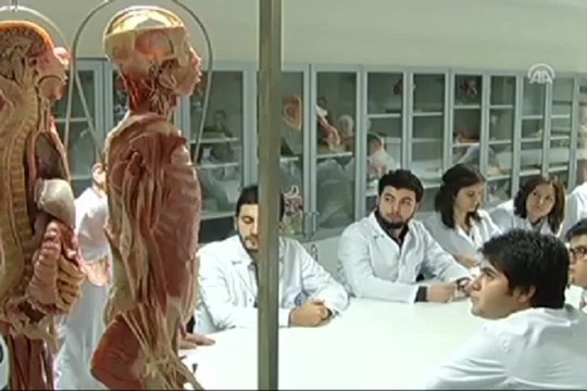 Plastine kadavra ile ders