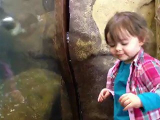 Avec les pingouins #2