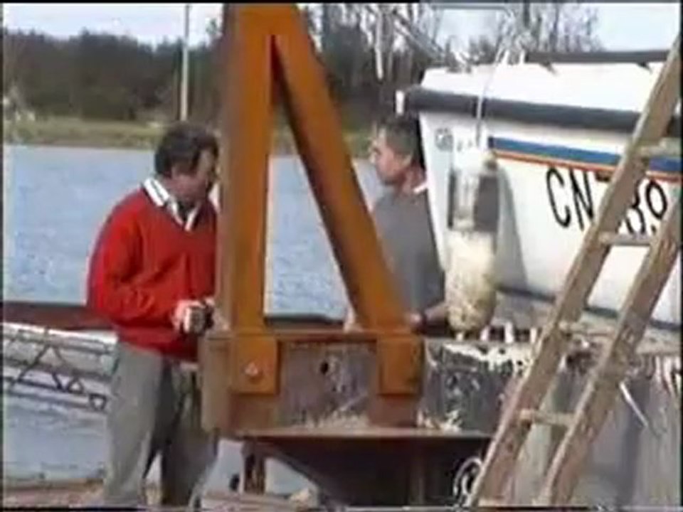 gib'sea de 1987