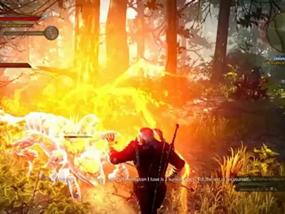 The Witcher 2 : Assassins of Kings Enhanced Edition - Journal des Développeurs