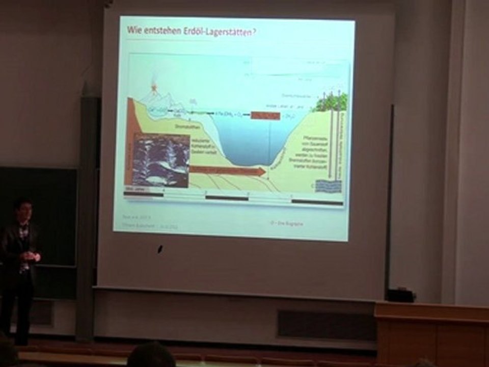 Peak Oil Münster (Teil 1/2): 1. Das Schwarze Gold – eine Biographie: Herkunft, Lagerstätten, Förderung, Nutzung