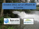 Continuite ecologique truite de mer saumon