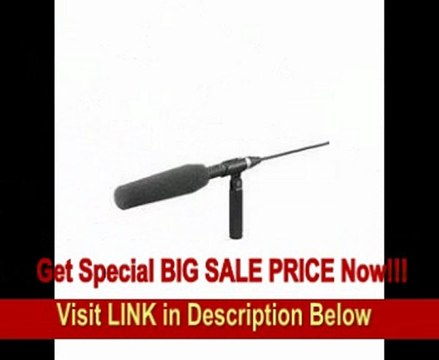Sony ECM-680S MS Stereo Shotgun Microphone, 50 Hz to 20 kHz Frequency Response REVIEW