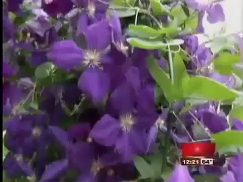 Natural Bladder Control - Don't Let Your Overactive Bladder Dictate Your Schedule!