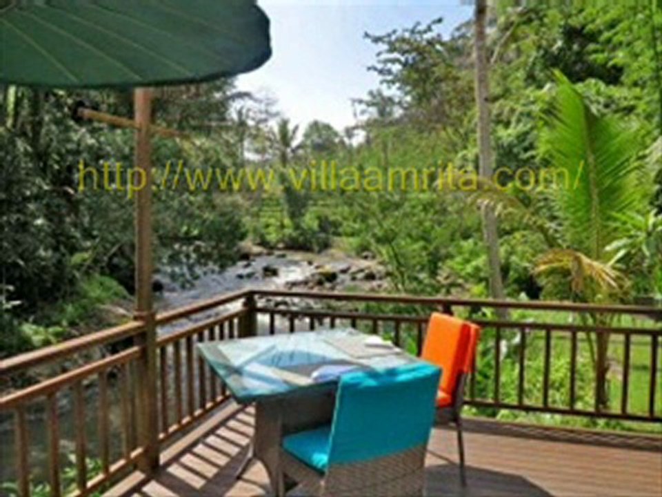 bali bird watching