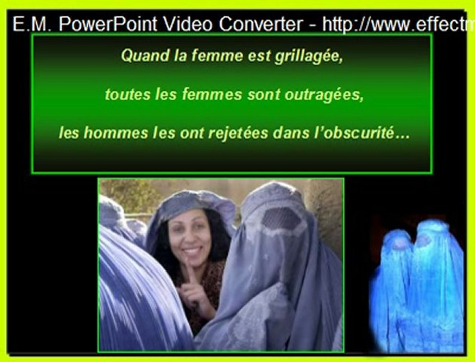 la femme grillagée
