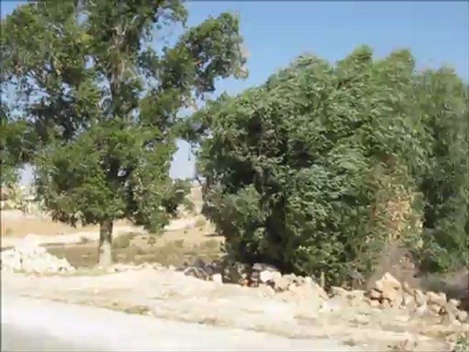 Mon film MARRAKECH septembre 2012 (16) - Route du retour à Marrakech