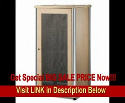 Salamander Synergy 402 A/V Component Cabinet (Maple/Silver) REVIEW