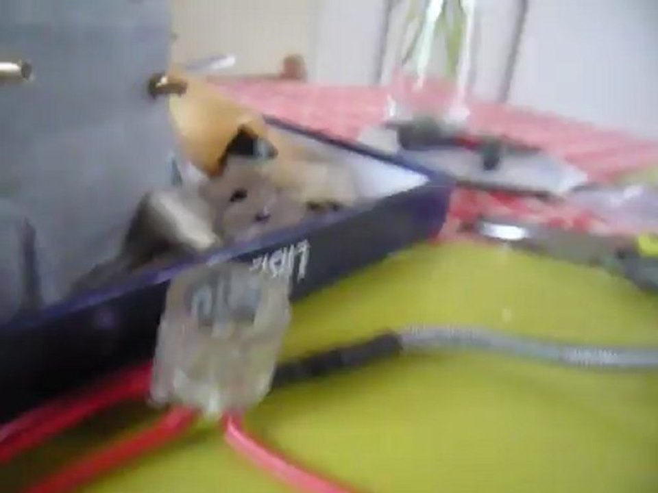 delco  du micro moteur trapper 4