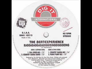 The Beat Experience - Raggadaggadadiggidingdiggidong (Country Ragga Radio)
