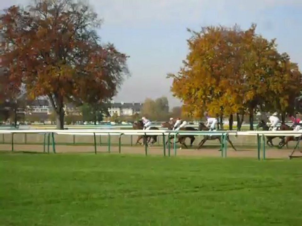 Arrivée de la 1ère course. Chantilly (09-11-2012)