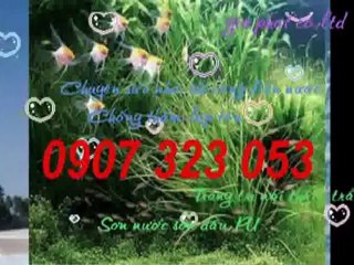 Sửa chữa vòi sen,ống gen tại quận 2 tphcm call 0907 323 053