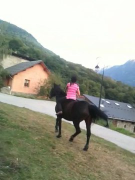 Deux sauts avec ma jument !!