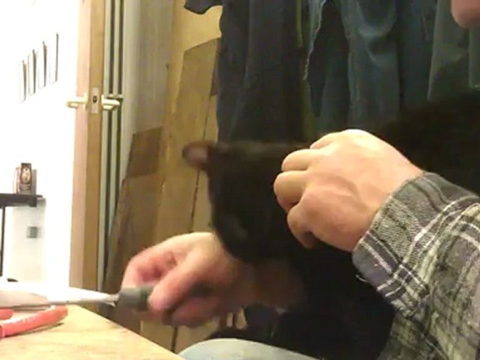 Little helper