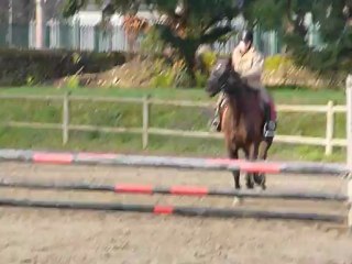 Margaux concour haras 02-2011 018