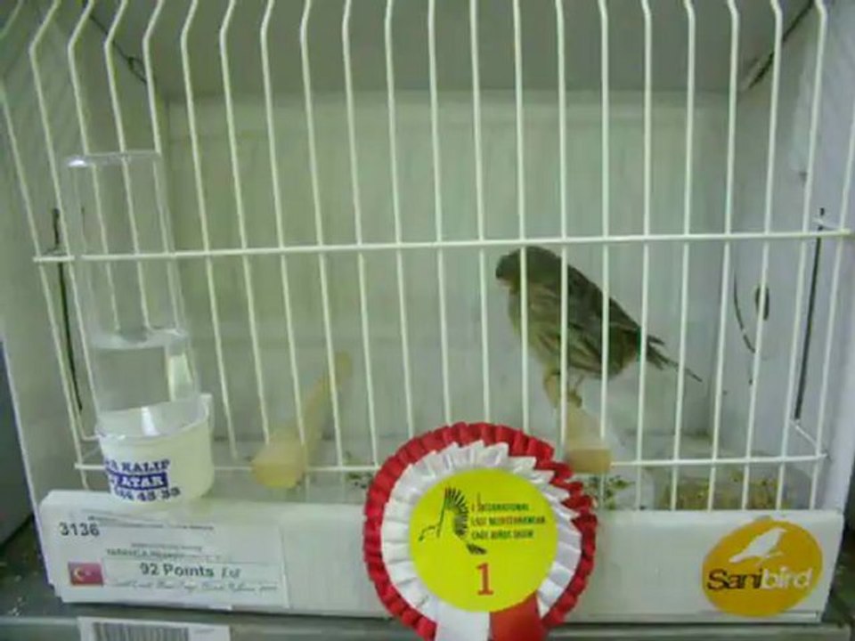 05-11 Kasım 2012 İSTANBUL ENTERNASYONAL YARIŞMASI