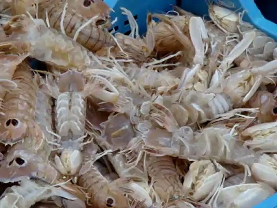 Marché aux poissons de Catane, typique !