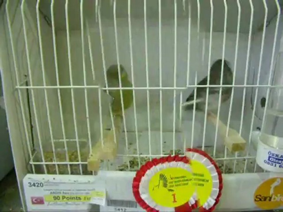 05-11 Kasım 2012 İSTANBUL ENTERNASYONAL YARIŞMASI