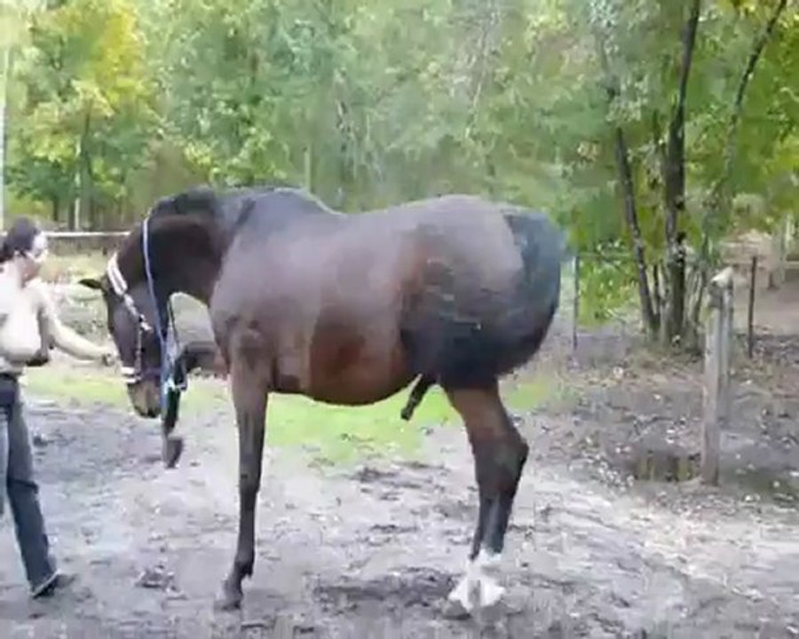Travail à pieds novembre