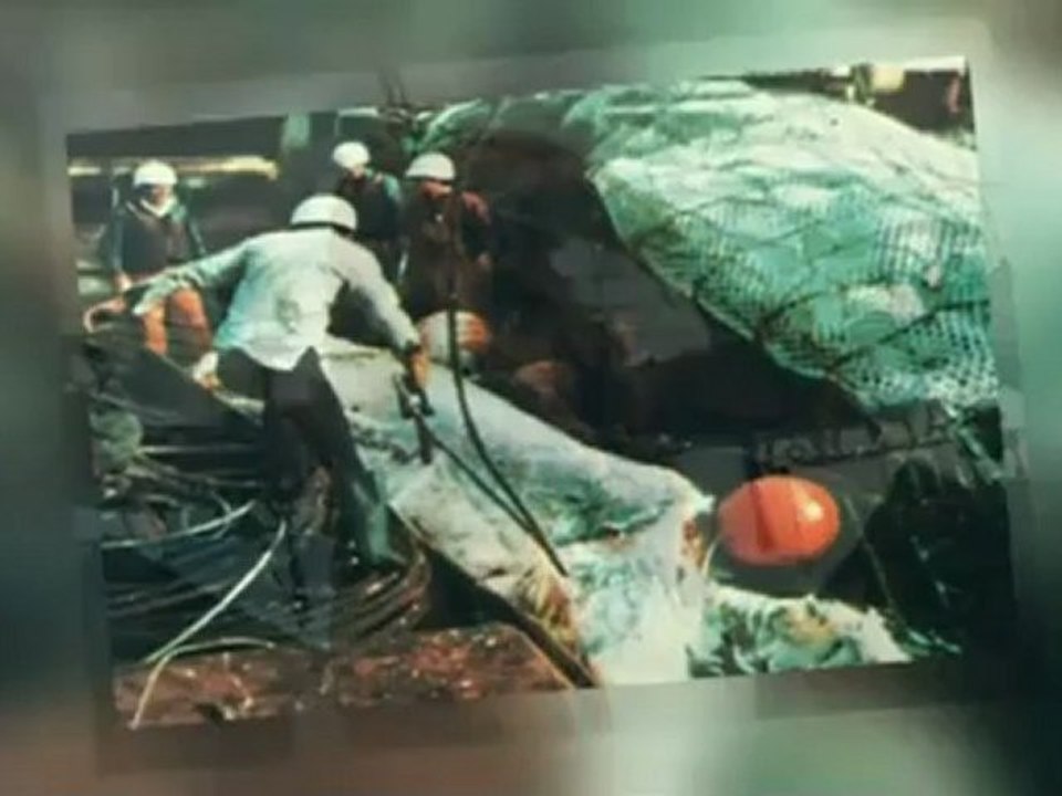 Forces Obscures - Monstres Des Lacs & Des Mers (ÉPISODE 9)