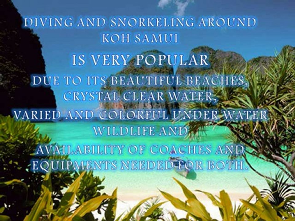 diving and snorkeling around koh samui